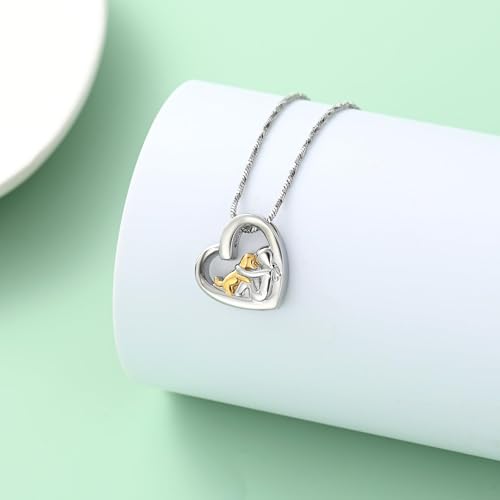 QGJNSGC Herz Halskette für Asche Edelstahl Hund Katze Andenken Einäscherung Schmuck Gedenkstätte Urne Halskette für Haustier menschliche Asche Anhänger (Hund-Silber Gold)