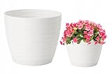 Form Plastic