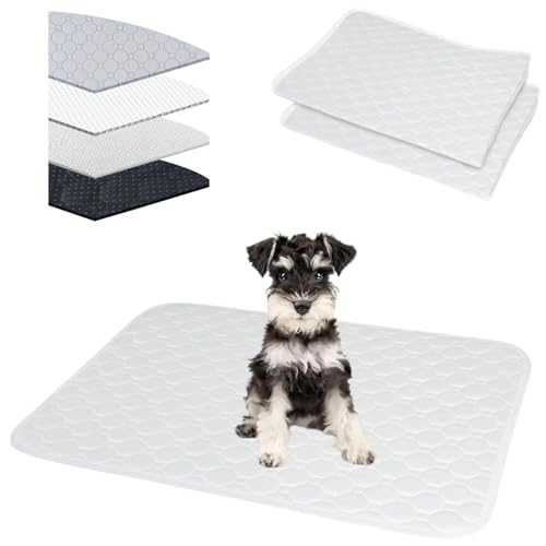 Lifetips ViEU[iMiniature Schnauzerj 􂦂ybgV[c ybgV[c 􂦂 2Zbg ~ V[cCh V[g L ۂƐ􂦂 ~}bg ld\ Rh~  ~ ^ ^  