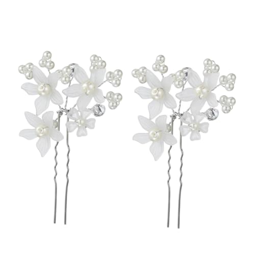 NUOBESTY 6 ^w bN p[ԃ`[t yʉK fB[Xp   p[eB[ 