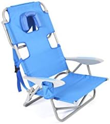 Ostrich On Your Back Chair, blue