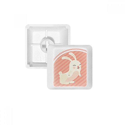 Boutons de touches PBT clavier mécanique custom oem blanc touches r1 sans marquage