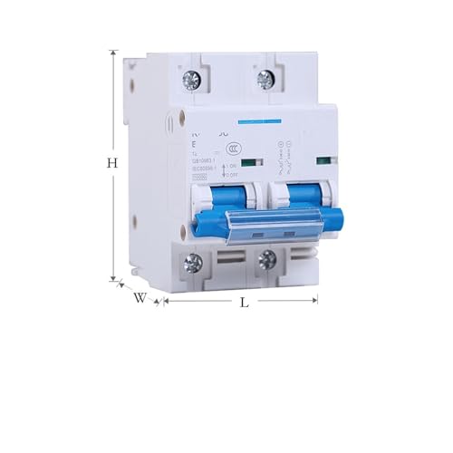 Disjoncteur 2P 100A haute performance avec boitier isolant durable