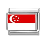 Hoomall Italian Bracelet Charm Flagge 9mm Silber Italienische Armband Charms Länderflagge DIY Italian Style Charm Module Abnehmbar Italian Charms für Damen Herren (Singapur)