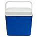 Tradineur - Nevera portátil de Polipropileno rígido con asa, Porta Alimentos y Bebidas para Playa, Acampada (Azul y Blanco, 30 litros, 38 x 40 x 29 cm)