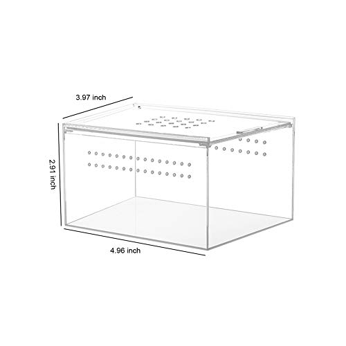 NANEEZOO Caixa de acrílico para reprodução de répteis, 12 x 10 x 7,6 cm, caixa plana e longa, caixa