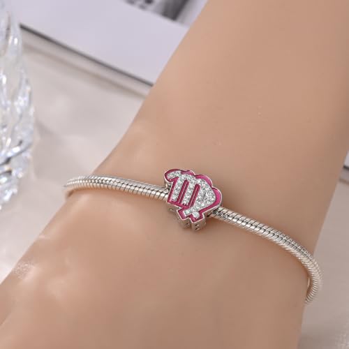 925 Sterling Silver Zodiac Signs Charms Fits Pandora Bracelets Constellation Bead Charm for Bracelets Necklace Pink with 5A Cubic Zirconia for Women Birthday Ceremony DIY Jewelry Gift3