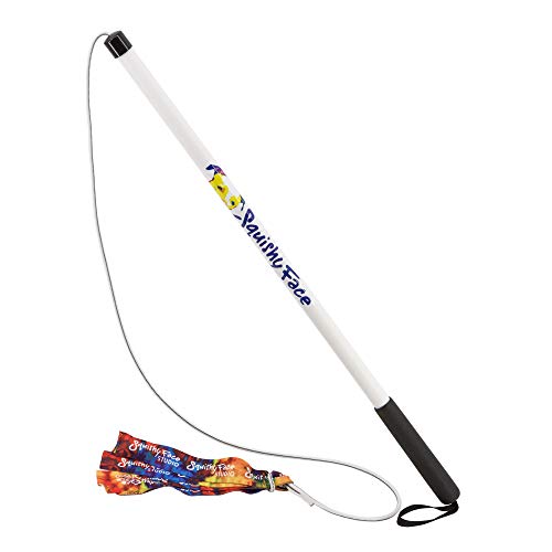 Squishy Face Studio Flirt Pole V2 mit Rainbow Squeaker - Hundespielzeug, Übung, Training - Für Hunde jeder Größe - Outdoor - Tier-Thema