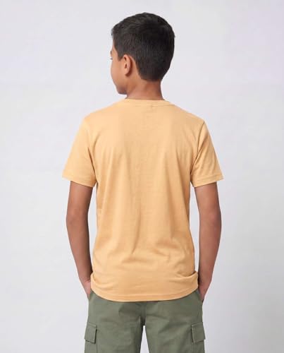 Image of 5 Pack Boys' Cotton T Shirts Crew Neck Plain Short Sleeve Tops Kids Teens