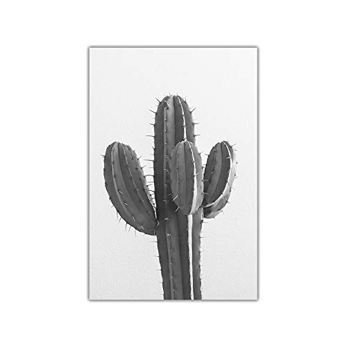 Affiche cactus salon Décoration murale scandinave noire et blanche - 2