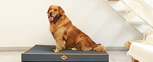 Laifug Outdoor Waterproof Dog Bed For Small, Medium And Large Dogs - Dog Bed Washable, Jacket Fabric, Egg Orthopedic Foam Pet Dog Bed With Removable Durable Cover And Non-Slip Bottom #TOP6