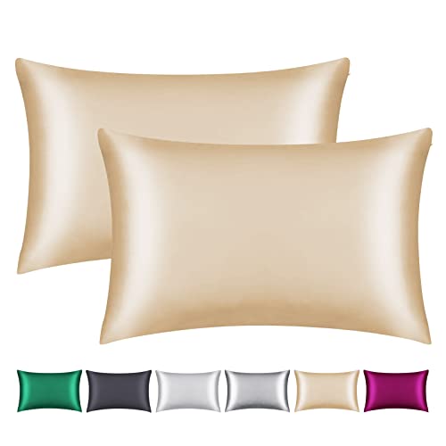 Smbeope Juego de 2 fundas de almohada 100 % seda de morera, para cabello y piel, cremallera oculta, funda de almohada de seda natural de 22 mommes en ambos lados, suave, transpirable y lisa (tamaño
