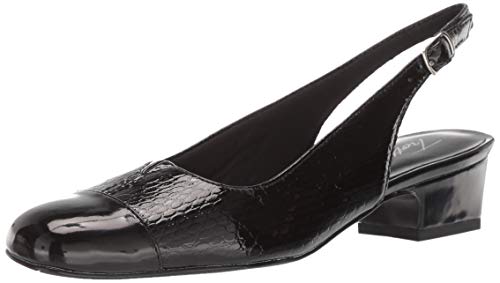 Image of Trotters