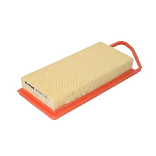 Filtron Ap130/3 Vani Motore