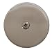 Westbrass 3-1/8" Single Hole Overflow Face Plate and Screw, Stainless Steel, D328-20