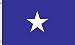 Bonnie Blue Flag 3x5ft Poly by Rebel