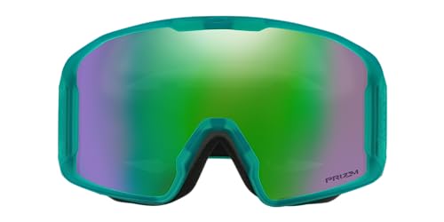 Image of Oakley Line Miner L Snow Goggle