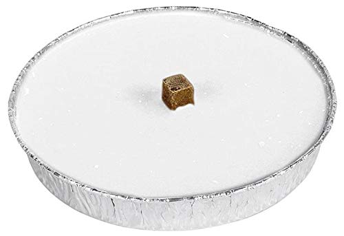 Burgenstern Flammschale Flammdose Outdoorkerze Gartenkerze Partykerze Feuerschale (10 Stück, Flammschale)