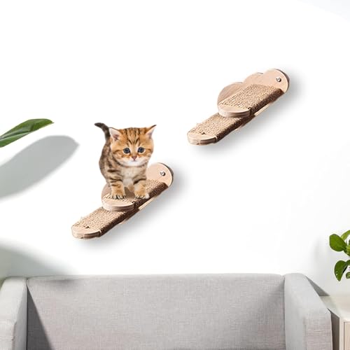 Échelle en bois pour chat à monter pour protéger vos meubles