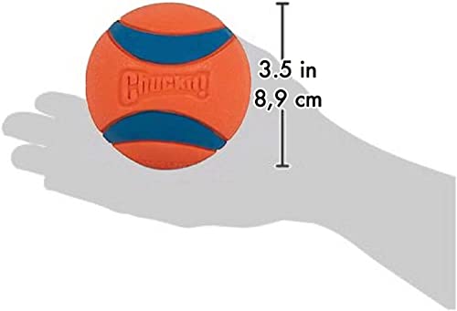 Chuckit! Generisch Ultra Ball XL - Spielzeug für Hunde - Doppelpack - 2 x 9 cm, 1er Pack