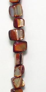 Tinted Shell Nugget Beige 2x8" Strand - Natural Fast Free Supply