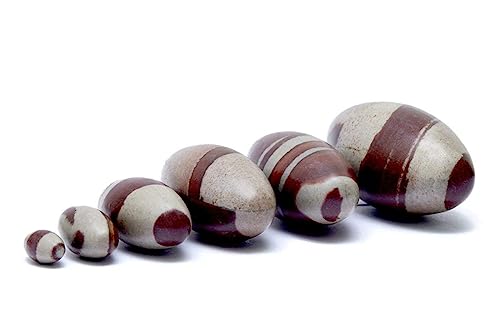 Image of PANDIT NM SHRIMALI Energized Narmadeshwar Shivling - 2 Inch | Original Narmada River Lingam | Sacred Stone for Vastu, Puja, Meditation | Shiva Lingam for Home & Office