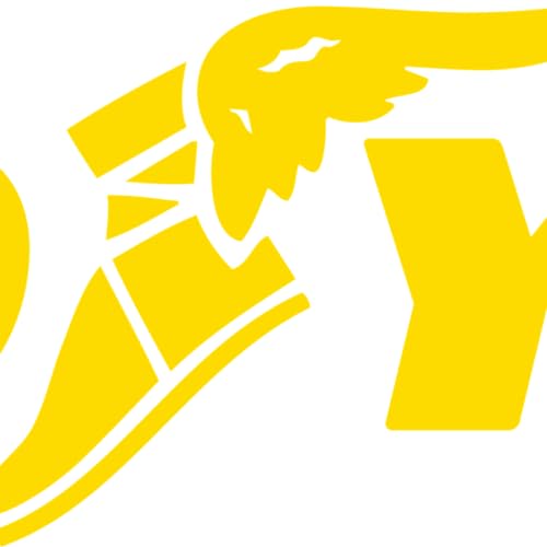 Goodyear Wrangler Territory Ht 255/65R17 110T All- Season Tire - Image 5