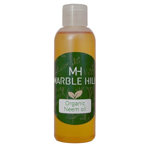 Best Sander For Preparing Gloss