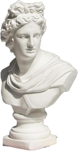 FeiFan 石膏像 胸像 人物像 置物 デビッド像 石膏像風 レプリカ 北欧風 デッサン用 模型 おしゃれ モデル 工芸品 人物像シリーズ 美術 雑貨 オブジェ 飾り物 装飾 道具 雕像 彫刻フィギュア プレゼント 美術館 部屋 インテリア 玄関 ガーデ