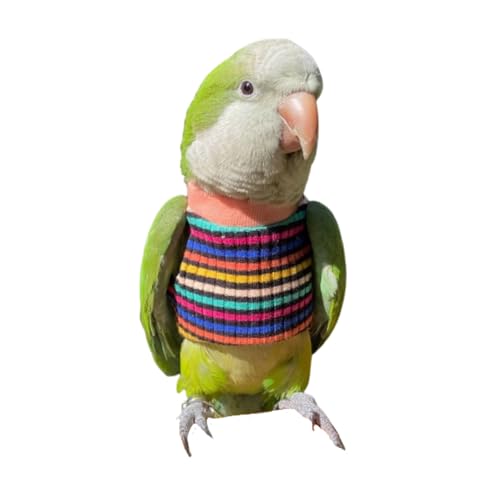 Bird Clothes - Handmade Cotton Red Shirt Round Collar Sweater Flight Suit for Parrots African Greys Parakeet Cockatiel Sun Conure Christmas Halloween Cosplay Apparel Bird Supplies (Colorful,L)