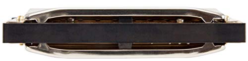 Harmonica Hohner Special 20 tonalité Do pour apprendre le blues facilement - 2