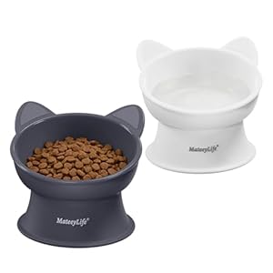 Gamelle surélevée pour chat MateeyLife