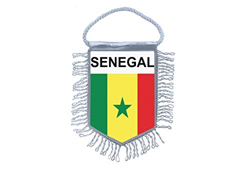 fanion mini drapeau pays voiture souvenir blason france villard de lans
