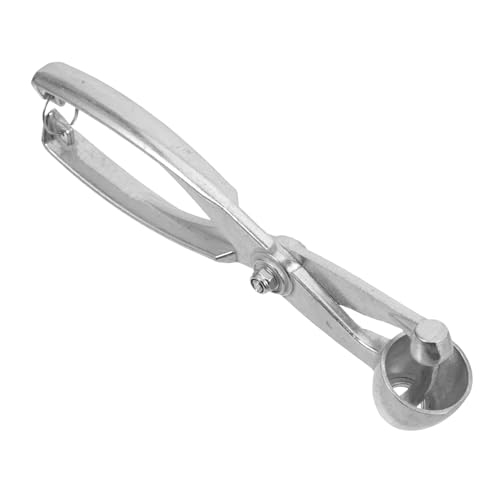 HOLIDYOYO Cherry Pitter Cherry Pitting Pincers Portable Light Easy to Carry Simple Design