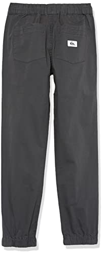 Quiksilver Boys Taxer Beach Cruiser YTH Pants2