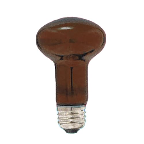 ATq tv ϔMJ[(N[^Cv) 40W E26 Ao[(F) R62 E26 110V-40W(CAT)