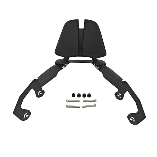 Kit d'accoudoirs moto Forza 350 pour éviter la fatigue du passager arrière