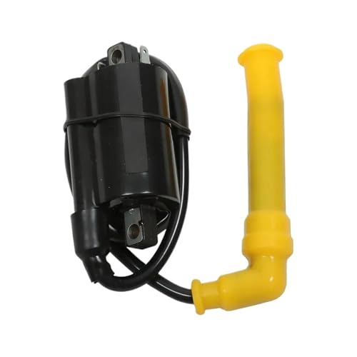 Module d'allumage boîtier CDI 30500-MBG-003 avec bobine pour Rincon 680