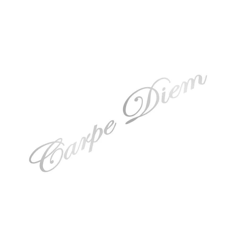 Car Vehicle Front Windshield Sticker Vinyl Decals(Matt Silver)