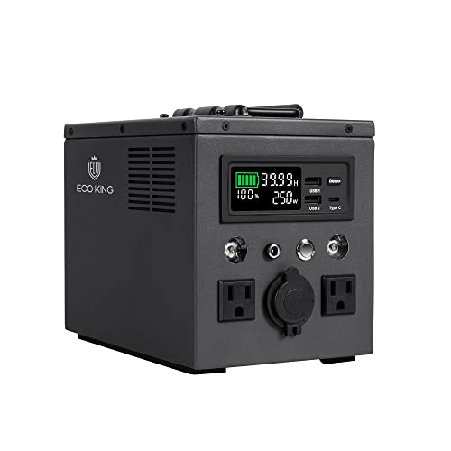Amazon.co.jp: ECO KING Portable Power Supply, LiFePO4 Lithium Iron