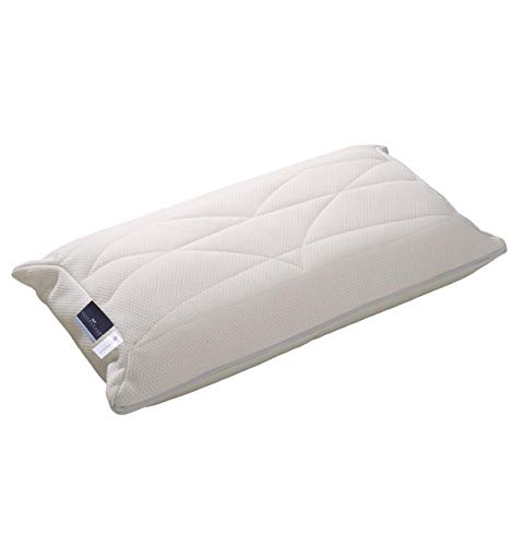 Billerbeck 2461010001 Kissen Climatraum NK, passende für Bezüge, circa 40 x 80 cm