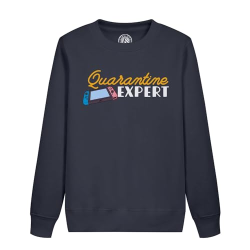 Sweatshirt enfant retro gaming arcade gris - Pull gamer quarantine expert