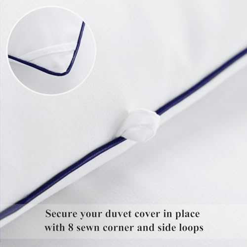 Aisbo Bettdecke 200x220 Ganzjahresdecke für Bett - Decke 200 x 220cm Steppbettdecke 300GSM, Schlafbettdecke 220x200 cm Warm für Winter, Oberbett ohne Kissen