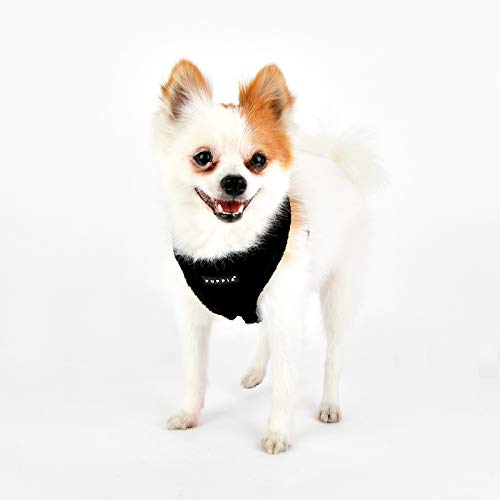 Puppia Hundegeschirr für kleine und mittelgroße Hunde - Terry Harness A - verstellbar und komfortabel Schwarz M (1er Pack)