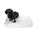 Reusable Washable Dog Training Pee Pads Pack of 3 by Midlee (15" x 23")