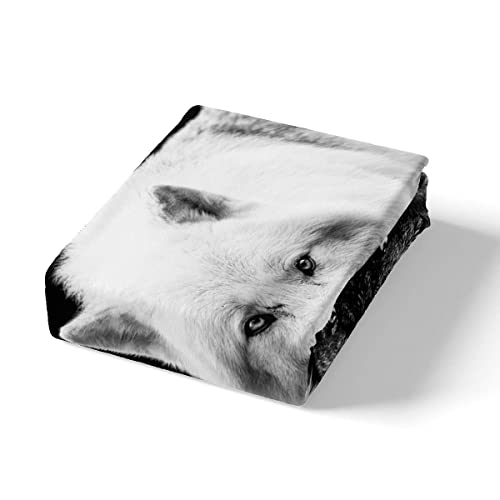 Wolf Dreamcatcher Bedding Duvet Cover Set Full Size Indian Dream Catcher Animal 3D Printed Bedding Set For Adult Kids Bedroom Decorative Soft Microfiber Exotic Style Bohemia Comforter/Quilt Cover #TOP2