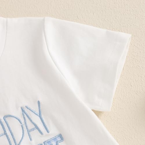 Frietlebird Toddler Baby Boy Girl First Birthday Outfit Short Sleeve Shirt Plaid Shorts Sets Summer Birthday Clothes 2Pcs