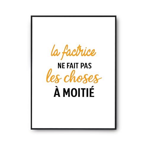 Cadeau humour affiche la factrice ne fait pas les choses a moitie poster anniversaire
