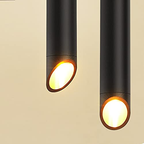 RAGGZZ Ibalods Led Moderne et Puissant avec Éclairage Blanc Intense