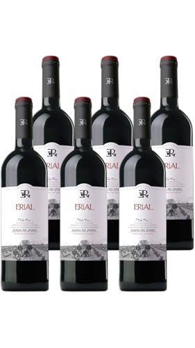 Erial Crianza – Vino Tinto D.O. Ribera del Duero | Pack de 6 Botellas (75 cl) | Envío Gratis | Tempranillo de Viñedos Viejos